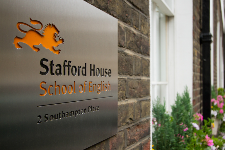 stafford international